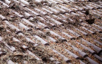 Snow Lea roof cleaning companies